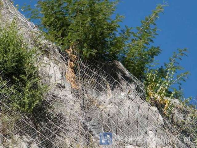 sns主動(dòng)防護(hù)網(wǎng)--01